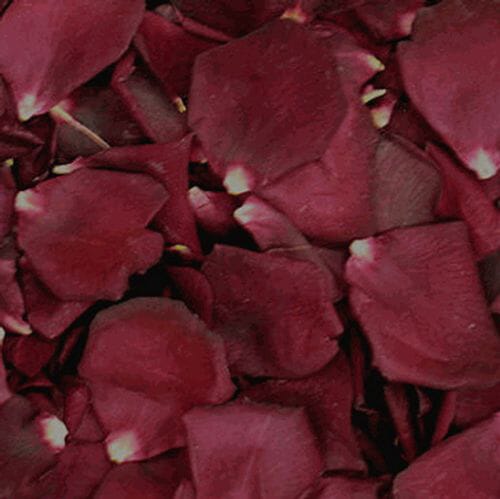 Ruby Red FD Rose Petals (30 Cups)