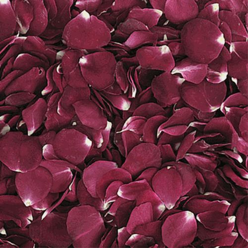Merlot Red FD Rose Petals (30 Cups)