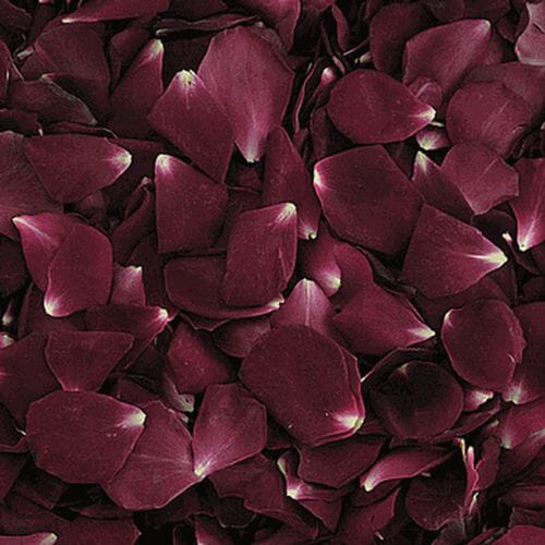 Bulk flowers online - Burgundy Red Rose Petals (30 Cups)