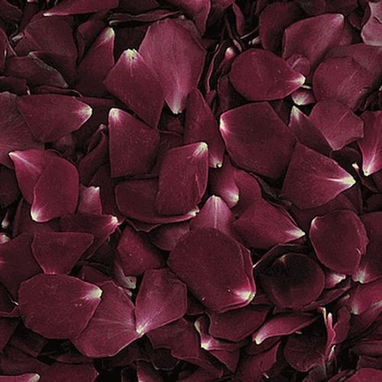 Burgundy Red Rose Petals 30 Cups Wholesale Blooms By The Box