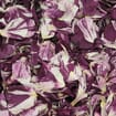 White / Deep Red Fd Rose Petals (30 Cups)