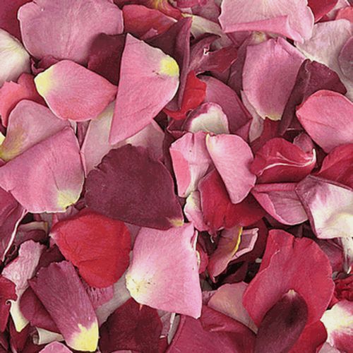 Assorted Bright Blend FD Rose Petals (30 Cups)