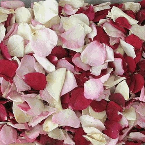 Bridal Bliss Blend FD Rose Petals (30 Cups)