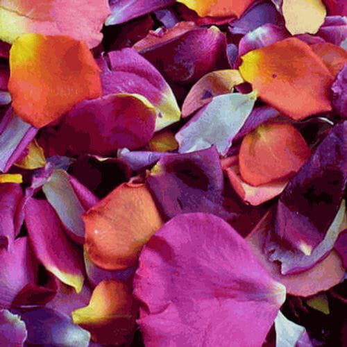 Bulk flowers online - Romantic Rendezvous Blend FD Rose Petals (30 Cups)
