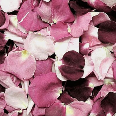 Fresh Rose Petals