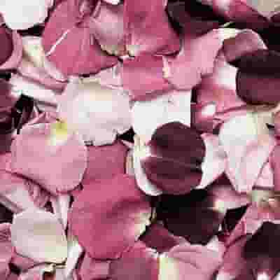 Endless Love Blend FD Rose Petals (30 Cups)
