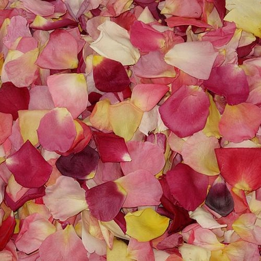 Assorted Bright Blend Fd Rose Petals 30 Cups Wholesale Blooms By The Box