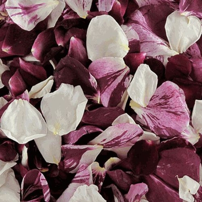 Pretty In Pink Freeze Dried Rose Petals (30 Cups) - Wholesale - Blooms By  The Box