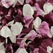 Seduction Blend FD Rose Petals (30 Cups)