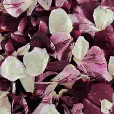 Seduction Blend FD Rose Petals (30 Cups)