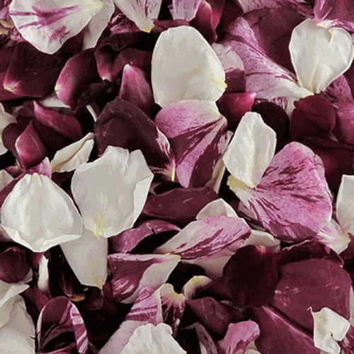 Seduction Blend FD Rose Petals (30 Cups)