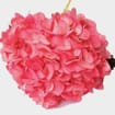 Spray Tinted Hydrangea - Medium Pink