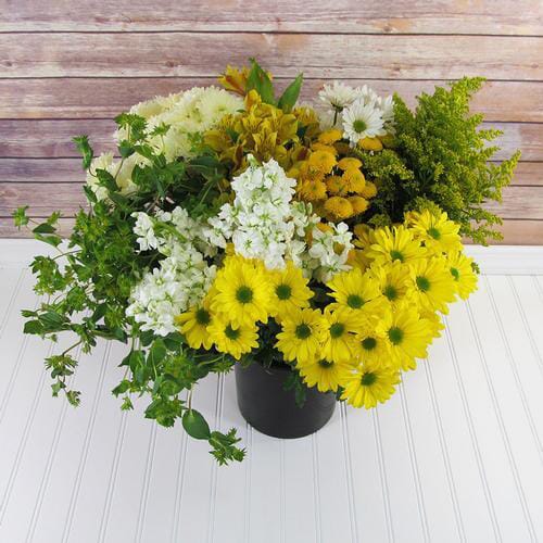 Blooms Enchanted Meadow Wildflower Pack Wholesale Blooms By The Box