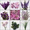Blooms Lovely Lavender Garden Wildflower Pack