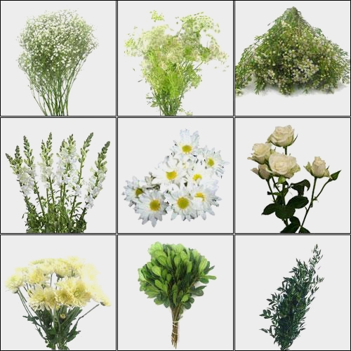 Blooms Vintage White Wedding Wildflower Pack