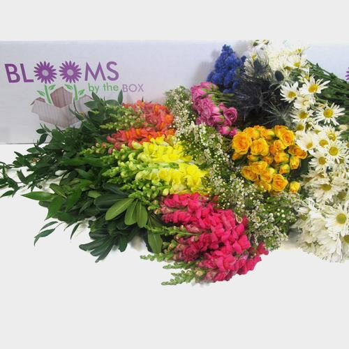 Blooms Mix & Match Wildflower Pack