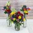 Blooms Mix & Match Wildflower Pack 