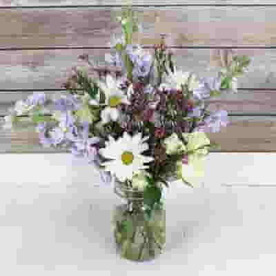 Blooms Intimate Backyard Party Wildflower Pack 