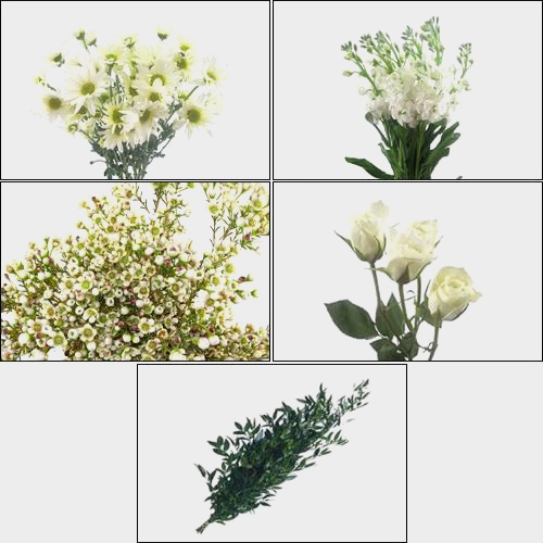 Blooms Intimate Backyard Party Wildflower Pack