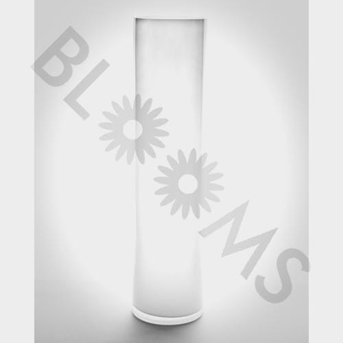 Large Cylinder Glass Vase (20