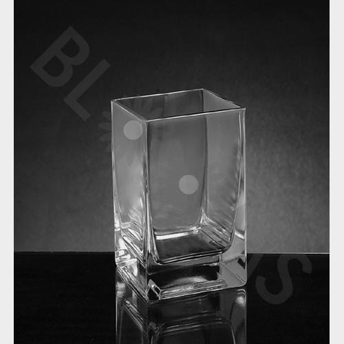 Small Square Glass Vase (6
