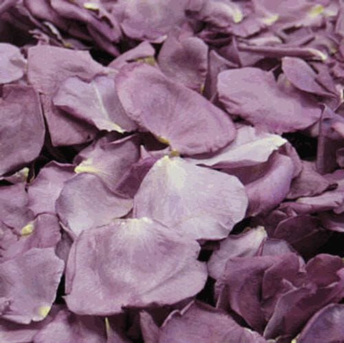 Fragrant Plum Rose Petals (30 Cups)