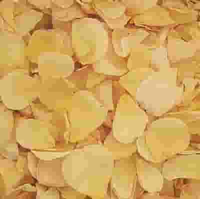 Soft Yellow Rose Petals (30 Cups)