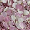 Our Lady Rose Petals (30 Cups)