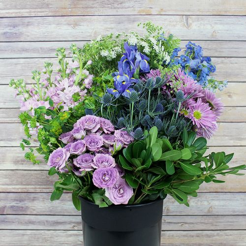 Blooms Rustic Romance Wildflower Pack