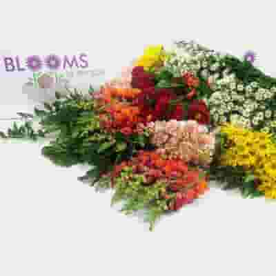 Blooms August Hay Ride Wildflower Pack