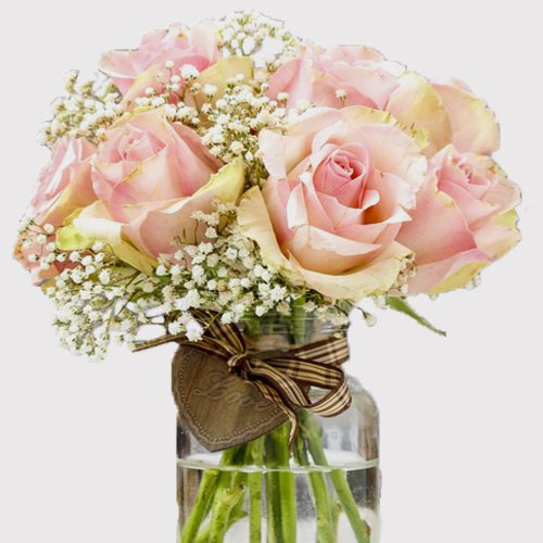 Gypsophila Million Star Flowers