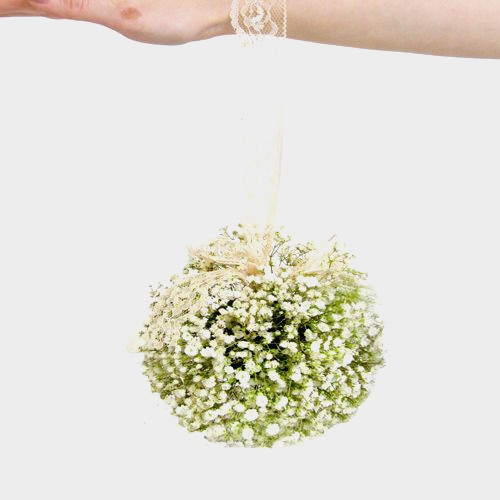 Gypsophila Million Star Flowers