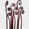 Fiddlehead Fern