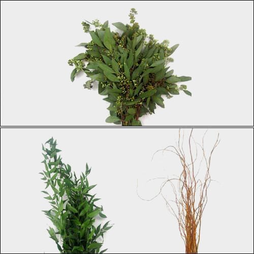 Wholesale flowers: Trendy Greens Bulk Pack - Mini