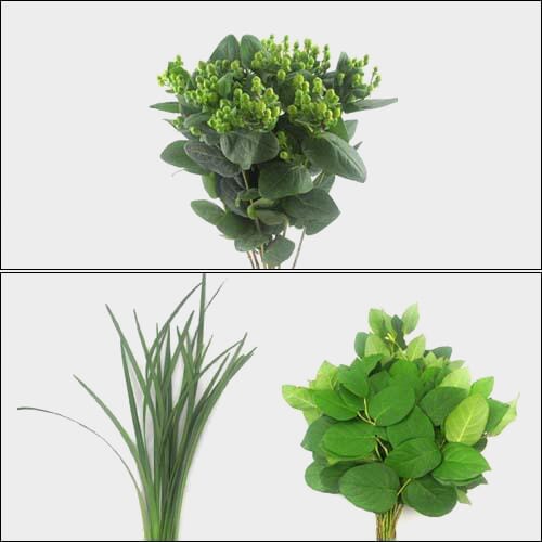 Wholesale flowers: Simple Greens Bulk Pack - Mini