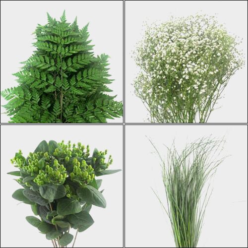 Bulk flowers online - Classic Greens & Fillers Bulk Pack - Mini