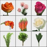 Orange & Pink DIY Wedding Flower Pack