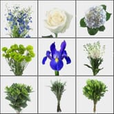 Dreamy Blue DIY Wedding Flower Pack