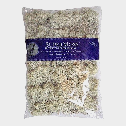 Super Moss Natural - Wholesale - Blooms By The Box