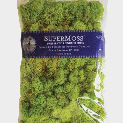 Wholesale flowers prices - buy Super Moss Light Green in bulk