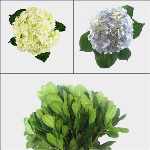 Wholesale flowers: Hydrangea Flower DIY Flower Pack