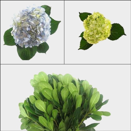 Mini Hydrangea Flower DIY Flower Pack