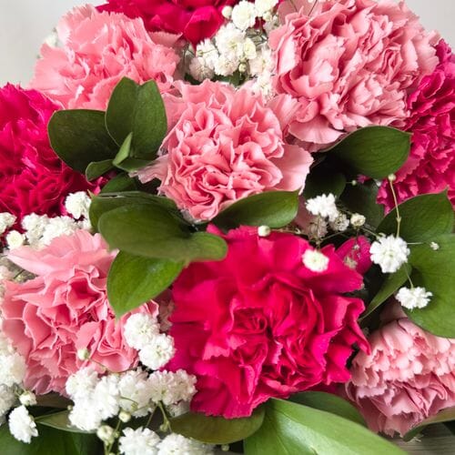Carnation Flower Wedding Pack