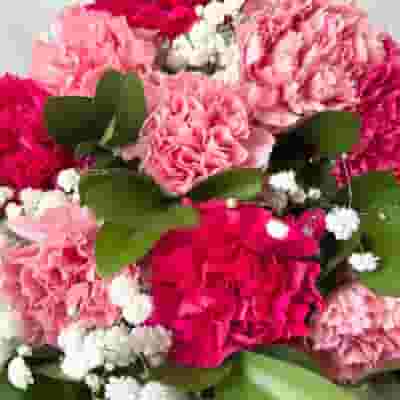 Carnation Flower Wedding Pack