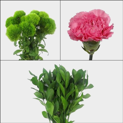 Carnation Flower Wedding Pack