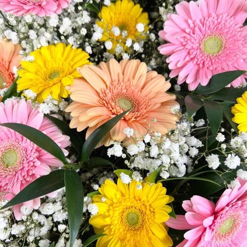 Wholesale flowers prices - buy Gerbera Daisy DIY Flower Pack in bulk
