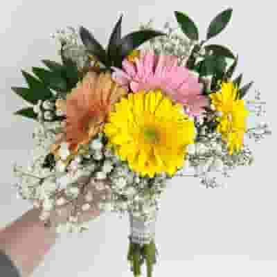 Gerbera Daisy DIY Flower Pack