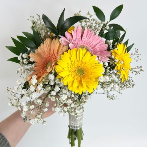 Gerbera Daisy DIY Flower Pack