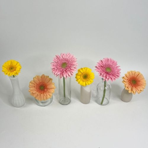 Gerbera Daisy DIY Flower Pack