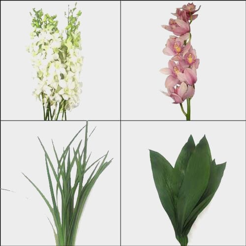Orchid Flowers DIY Flower Pack
